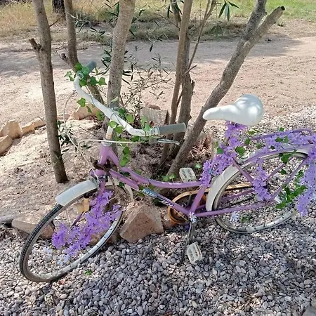 בית נופש El Pinar Del Rondero J&m En Plena Naturaleza סוטיו דה לה אדרדה