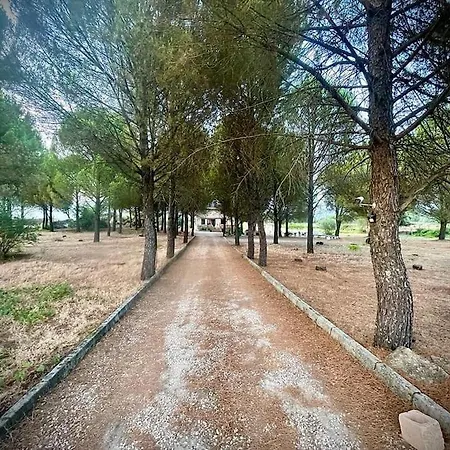 El Pinar Del Rondero J&m En Plena Naturaleza Feriehus