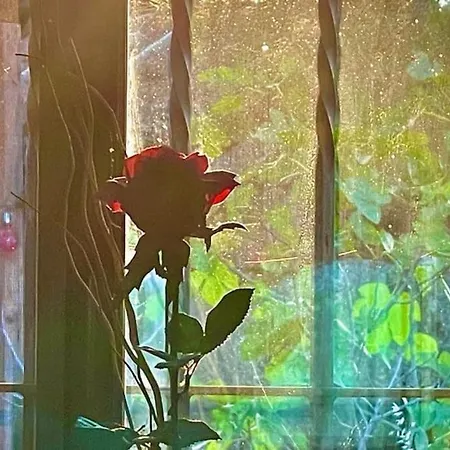 El Pinar Del Rondero J&m En Plena Naturaleza Casa vacanze *