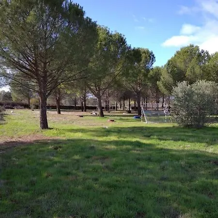 Casa vacanze El Pinar Del Rondero J&m En Plena Naturaleza