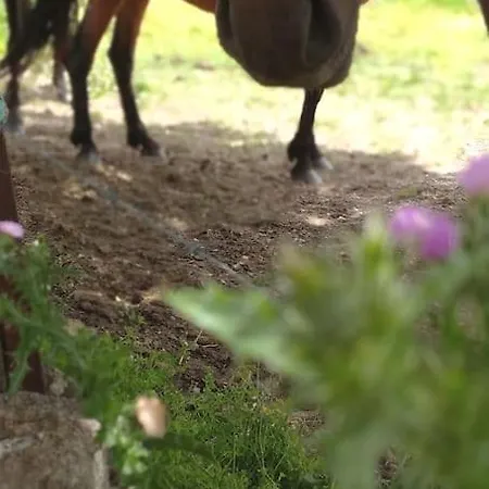 Casa vacanze El Pinar Del Rondero J&m En Plena Naturaleza