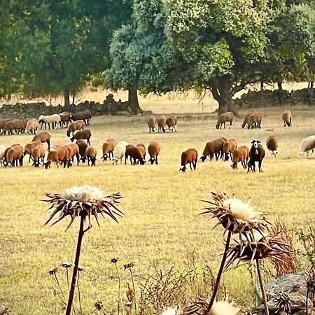 El Pinar Del Rondero J&m En Plena Naturaleza בית נופש סוטיו דה לה אדרדה