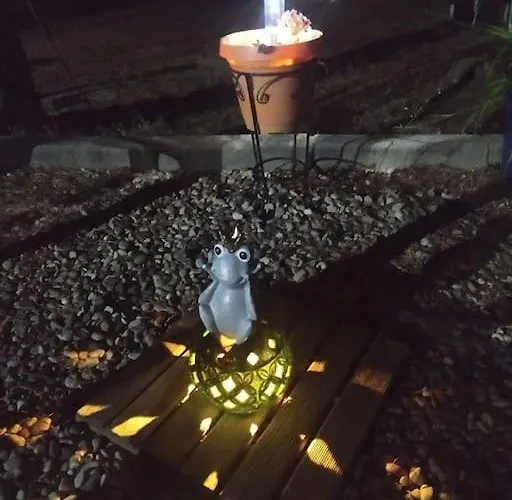 El Pinar Del Rondero J&m En Plena Naturaleza *