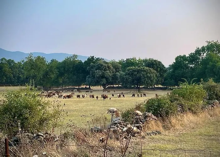 El Pinar Del Rondero J&m En Plena Naturaleza * Sotillo de la Adrada