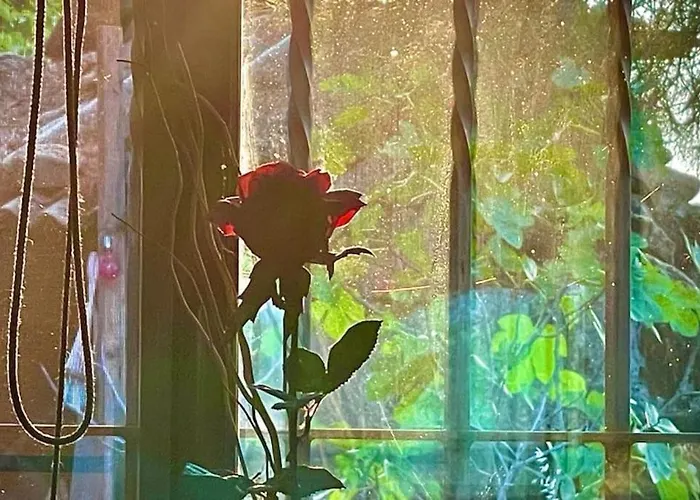 El Pinar Del Rondero J&m En Plena Naturaleza Casa de Férias *