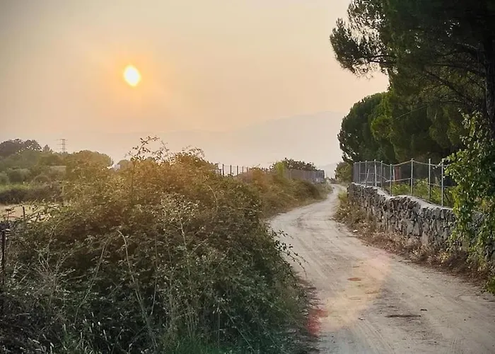 Casa de Férias El Pinar Del Rondero J&m En Plena Naturaleza
