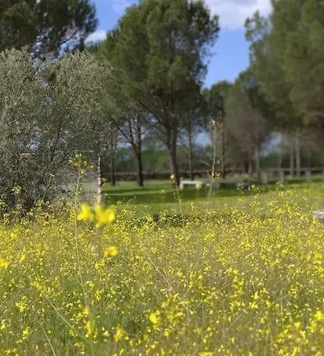 El Pinar Del Rondero J&m En Plena Naturaleza Casa de Férias