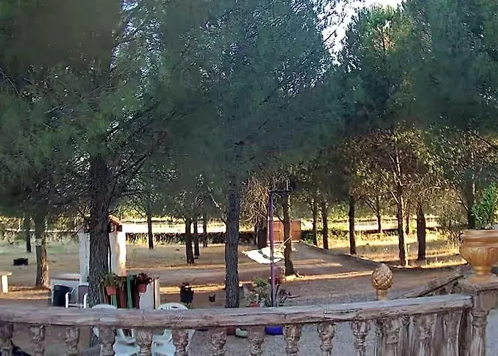 Casa de Férias El Pinar Del Rondero J&m En Plena Naturaleza
