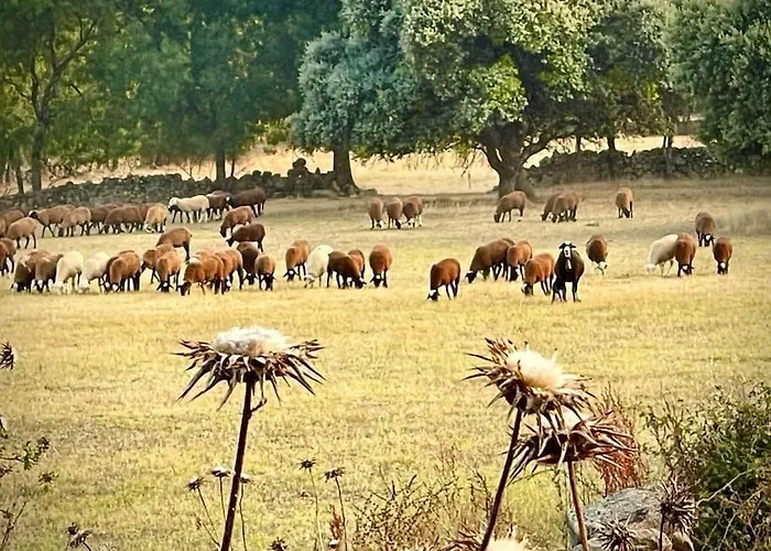 El Pinar Del Rondero J&m En Plena Naturaleza Casa de Férias Sotillo de la Adrada